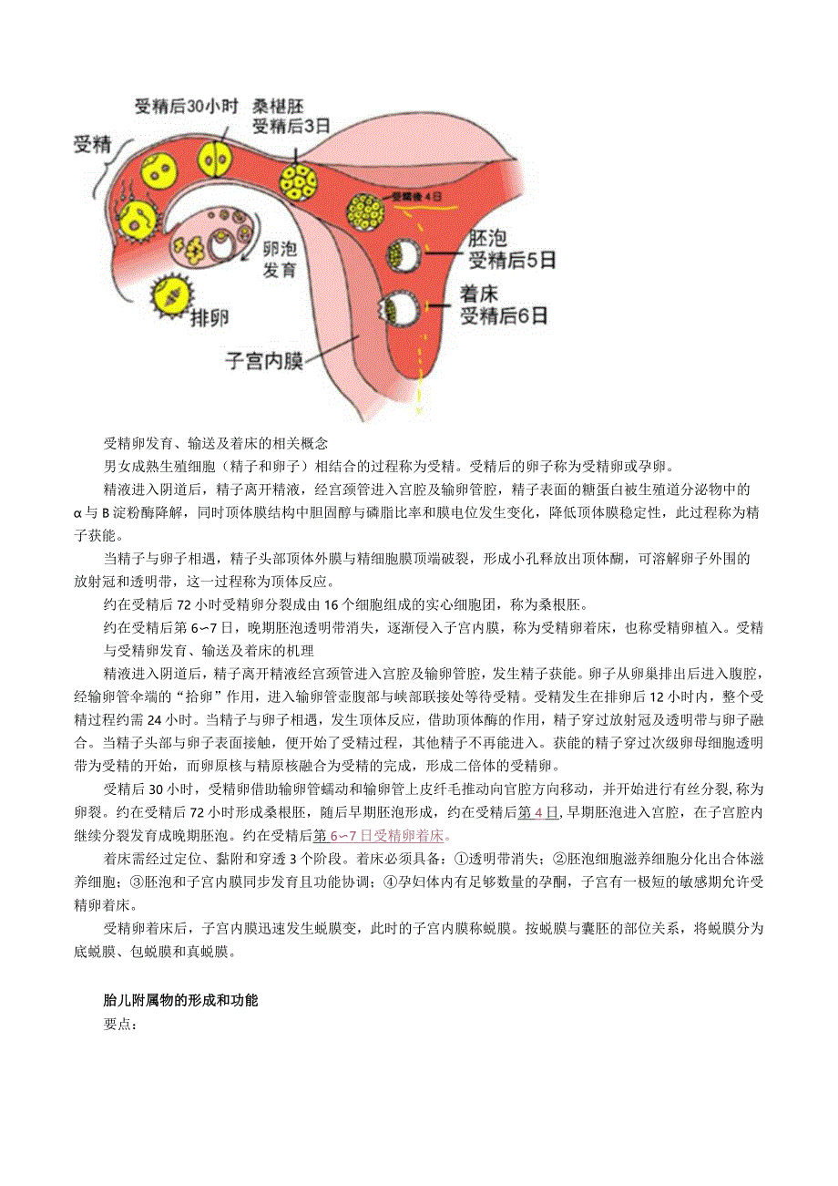 中西医结合资格考试-妊娠生理讲义及练习.docx_第2页