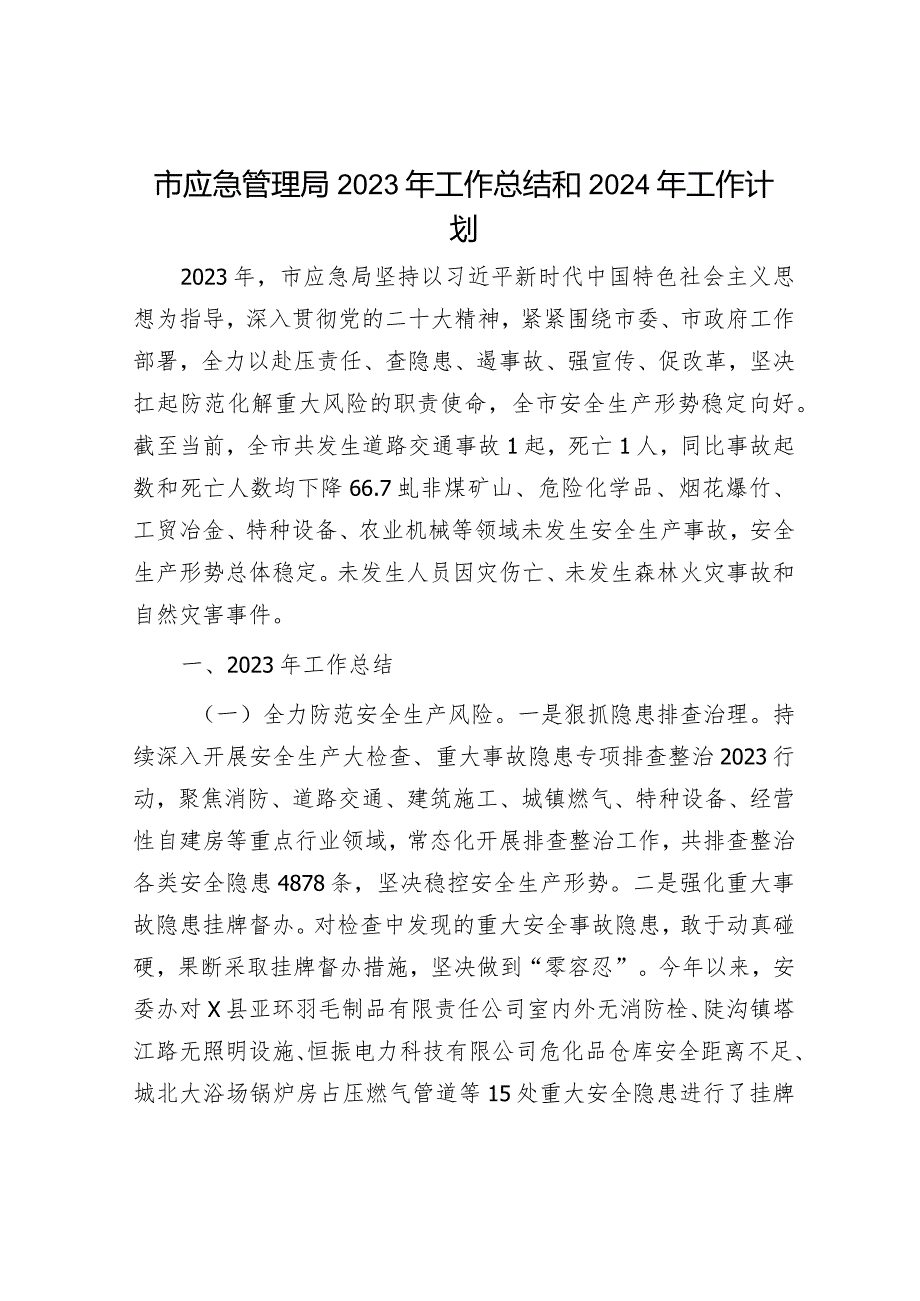 2023年工作总结及2024年工作计划精选合辑（应急局+政府办）.docx_第1页