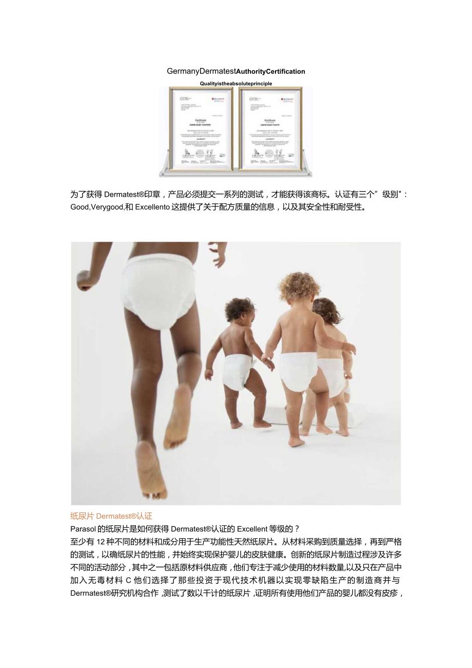 Dertmatest认证介绍.docx_第2页