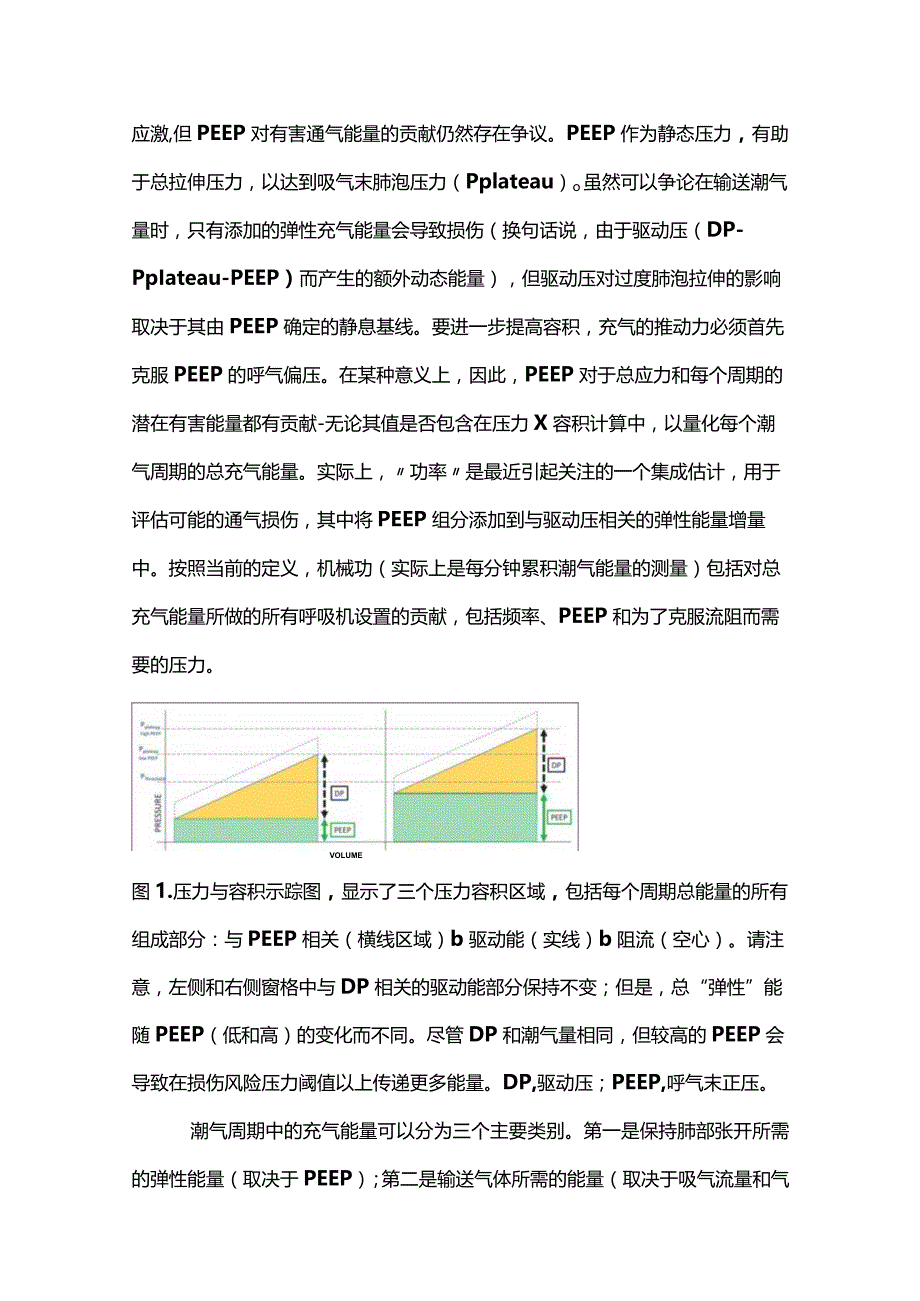 2024正压呼气末正压PEEP在呼吸机诱发肺损伤中的作用.docx_第3页