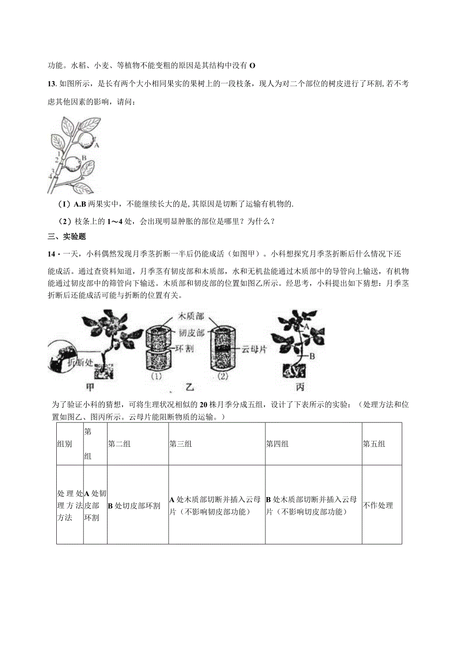 4.4植物的茎与物质运输 同步练习（含解析）.docx_第3页