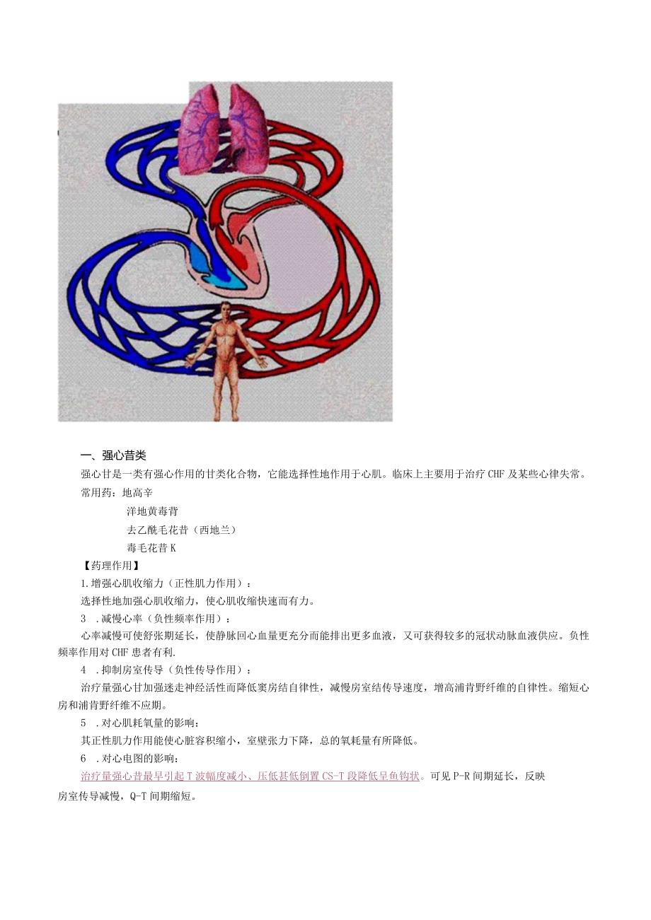 中西医结合药理学-抗慢性心功能不全药（CHF）讲义及练习.docx_第2页