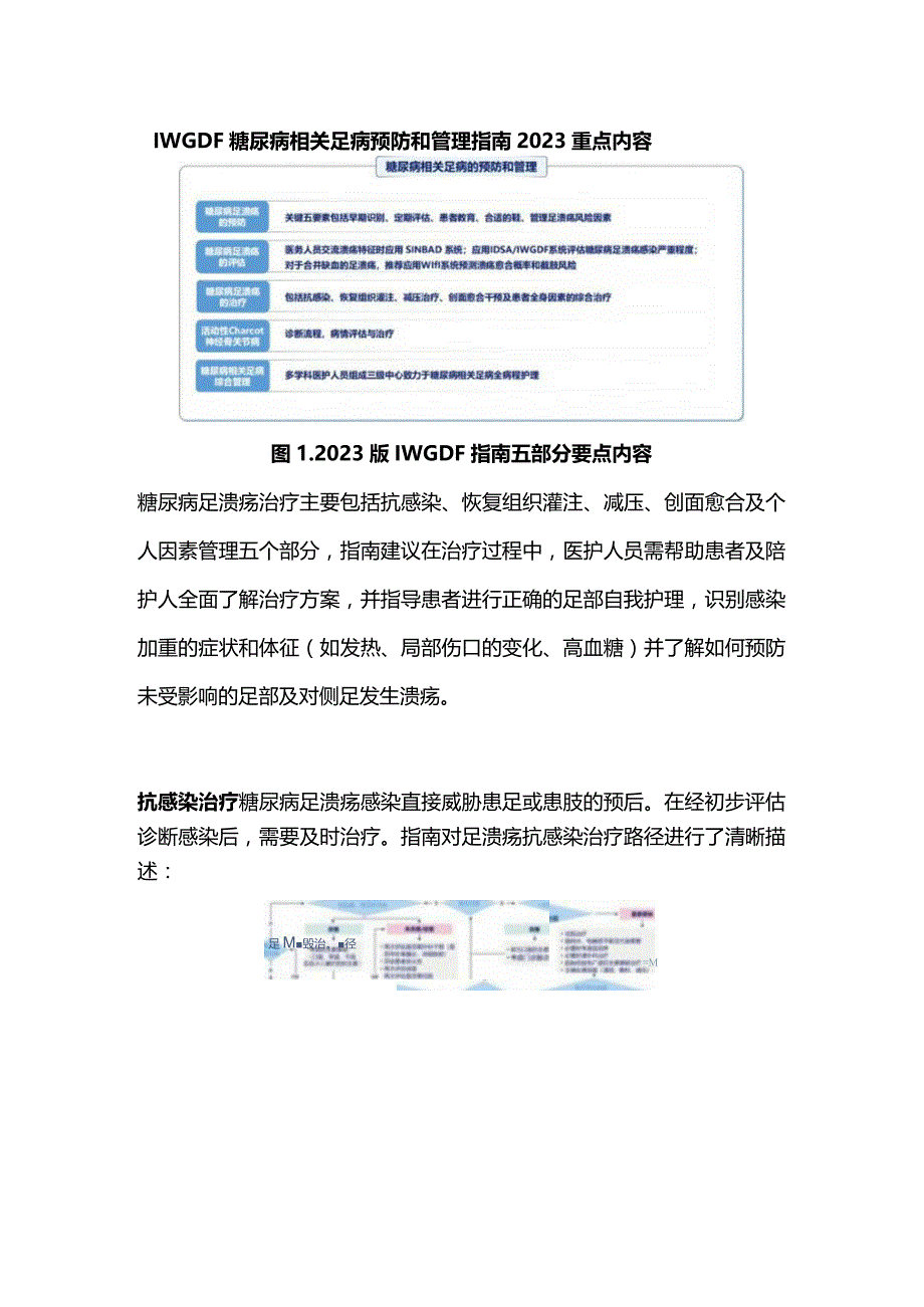 IWGDF糖尿病相关足病预防和管理指南2023重点内容.docx_第1页