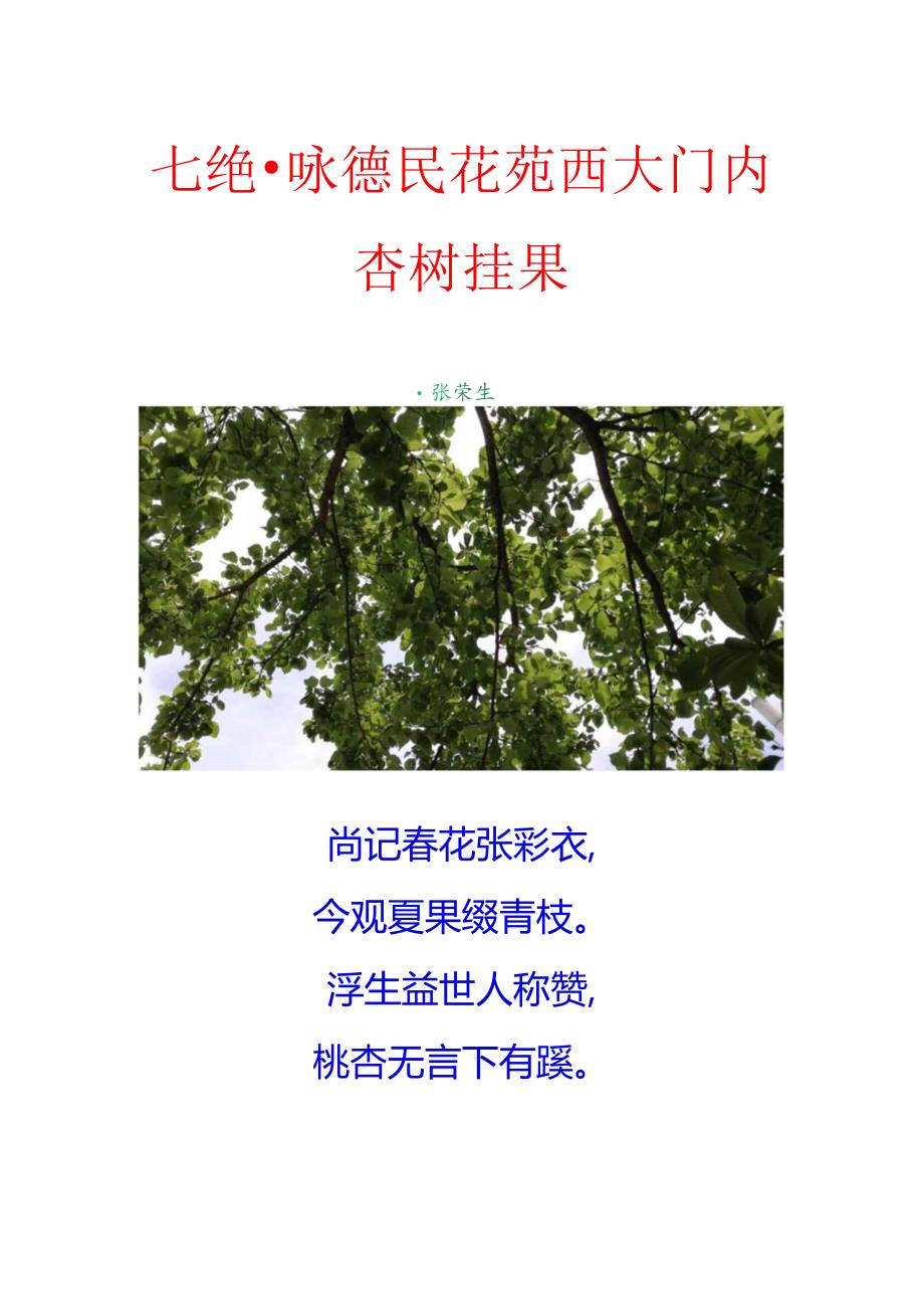 七绝-咏德民花苑西大门内杏树挂果.docx_第1页