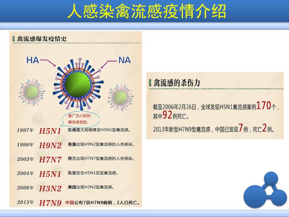 企业H7N9禽流感预防宣导.ppt_第2页