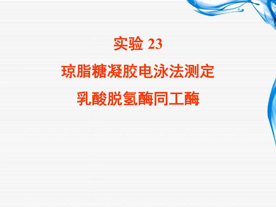 实验23 琼脂糖凝胶电泳法测定乳酸脱氢酶同工酶.ppt_第1页