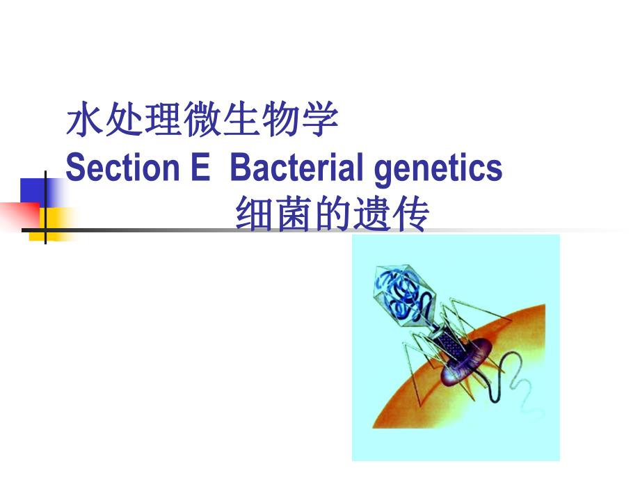 水处理微生物学—细菌的遗传（中英文对照） .ppt_第1页