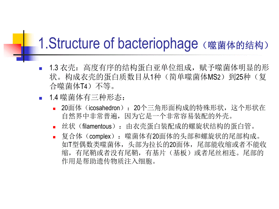 水处理微生物学—细菌的遗传（中英文对照） .ppt_第3页