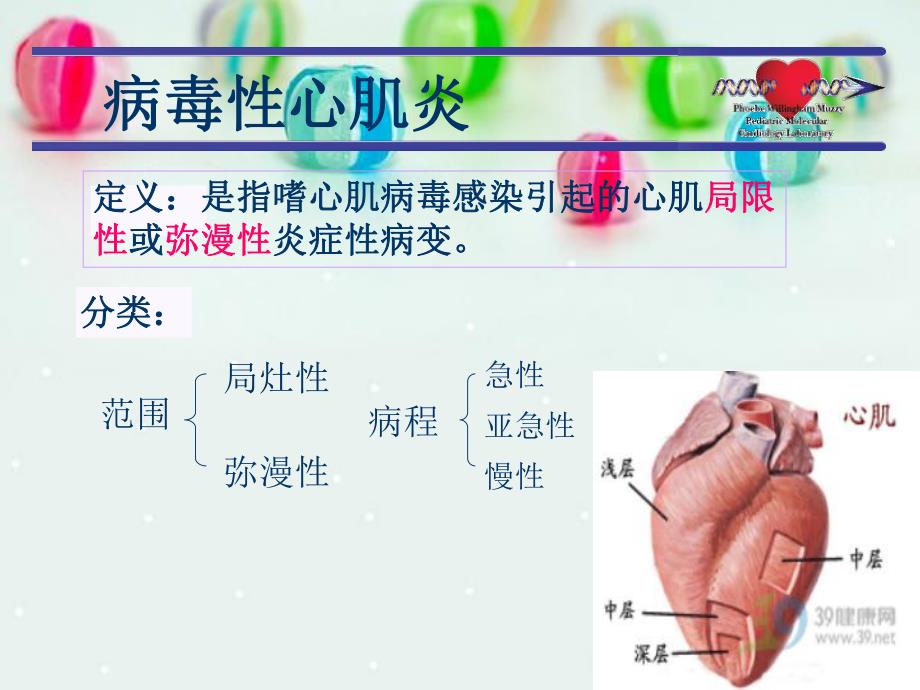 病毒性心肌炎新.ppt.ppt_第3页