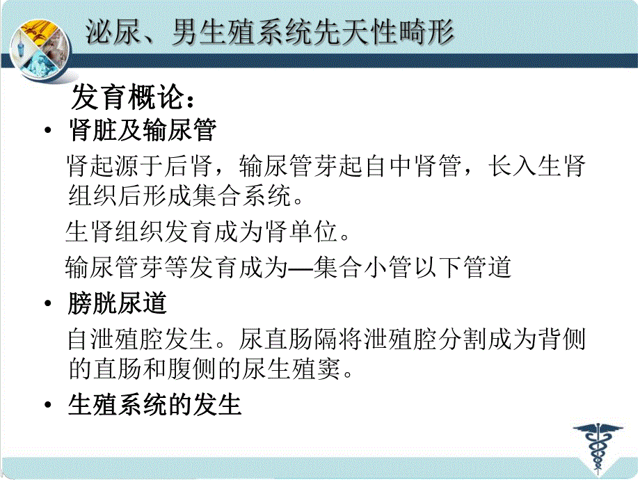 泌尿、男生殖系统先天性畸形.ppt.ppt_第3页