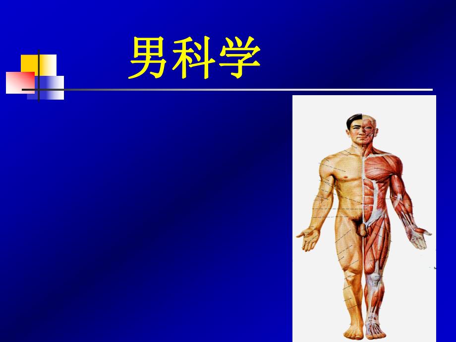 第六十章男性性功能障碍、不育和节育(PPT61).ppt_第1页