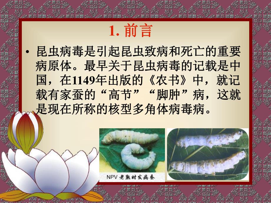 [生物学]昆虫病毒简介.ppt_第3页