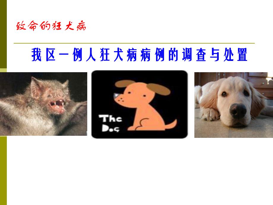 狂犬病的预防与控制.ppt_第1页