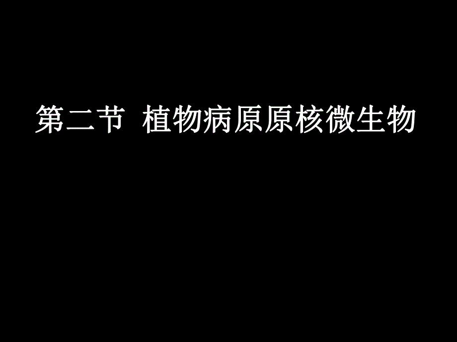 园林植物病理学第三章植物病原细菌和其它原核生物.ppt_第1页