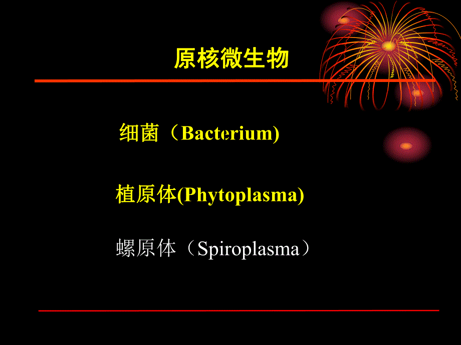 园林植物病理学第三章植物病原细菌和其它原核生物.ppt_第2页