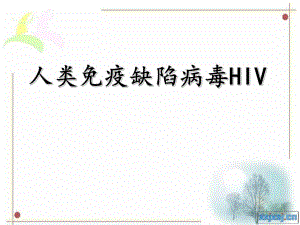 HIV的致病机理.ppt.ppt