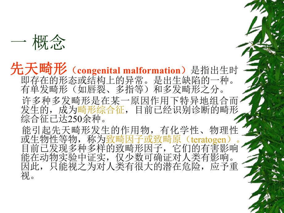 胎儿先天性畸形讲课.ppt_第3页