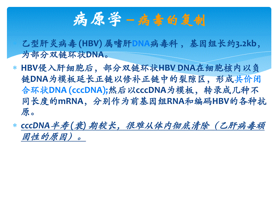 慢性乙型肝炎防治指南.ppt_第3页