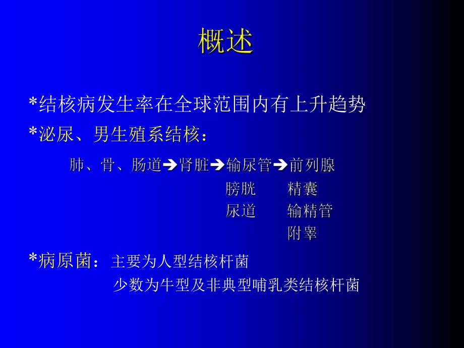 泌尿、男生殖系结核.ppt_第2页