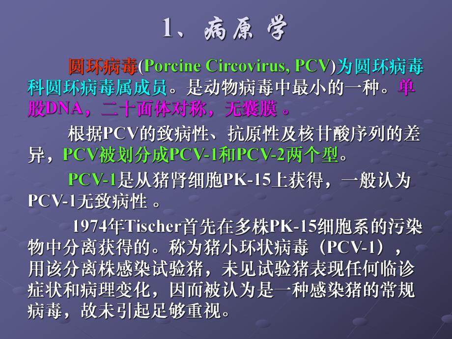 猪圆环病毒感染.ppt_第3页