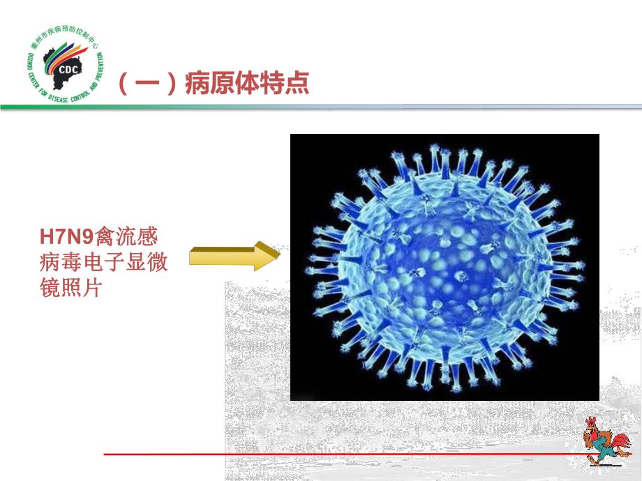 人感染H7N9禽流感防控知识讲座.ppt_第3页