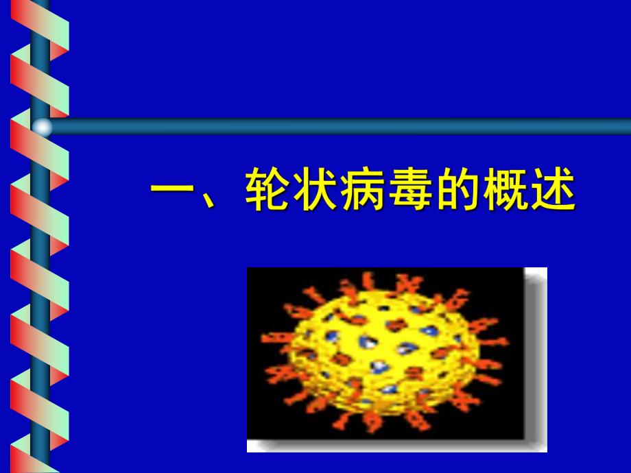 口服轮状病毒活疫苗.ppt_第3页