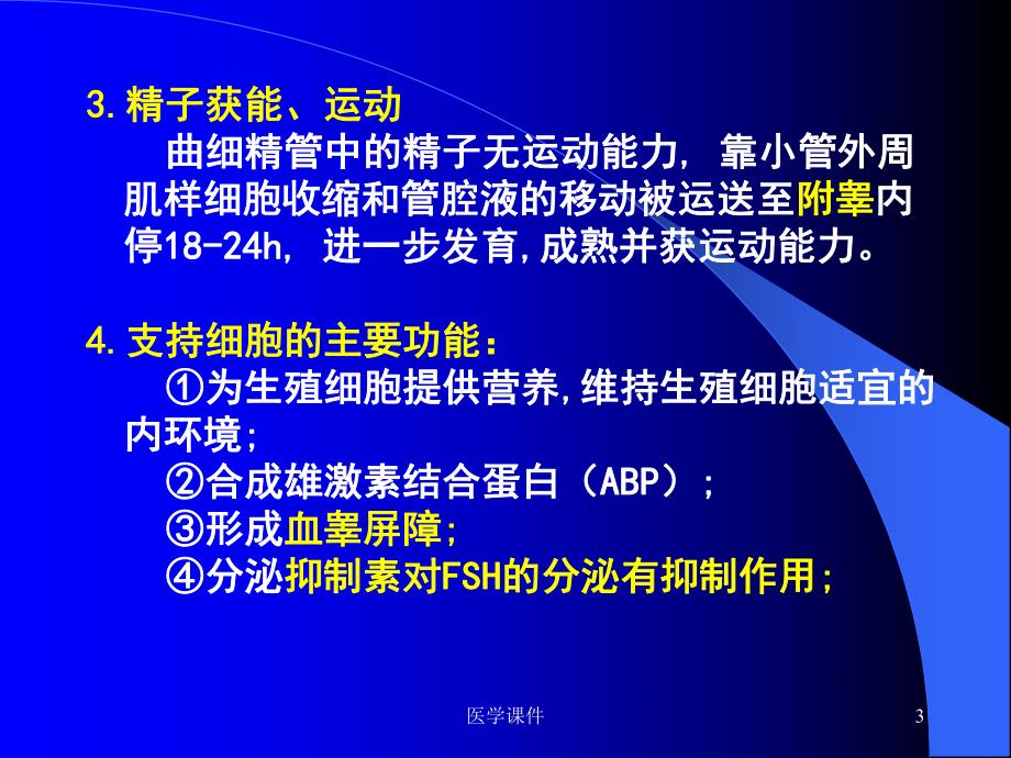 生理学生殖.ppt_第3页