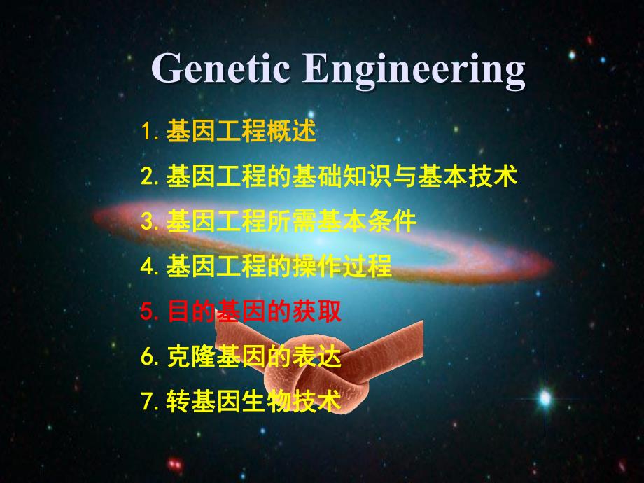 五目的基因的获取.ppt.ppt_第1页