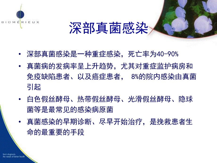 生物梅里埃真菌培养鉴定及药敏全面解决方案.ppt_第2页