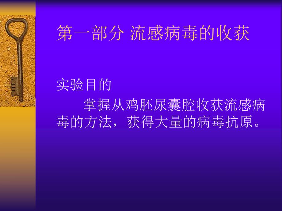 【病毒学实验】第三次课3.4流感病毒的收获及血凝效价测定.ppt_第2页