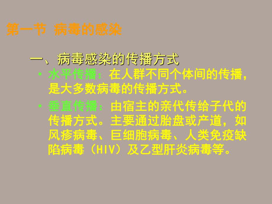 病毒的感染与免疫.ppt_第2页