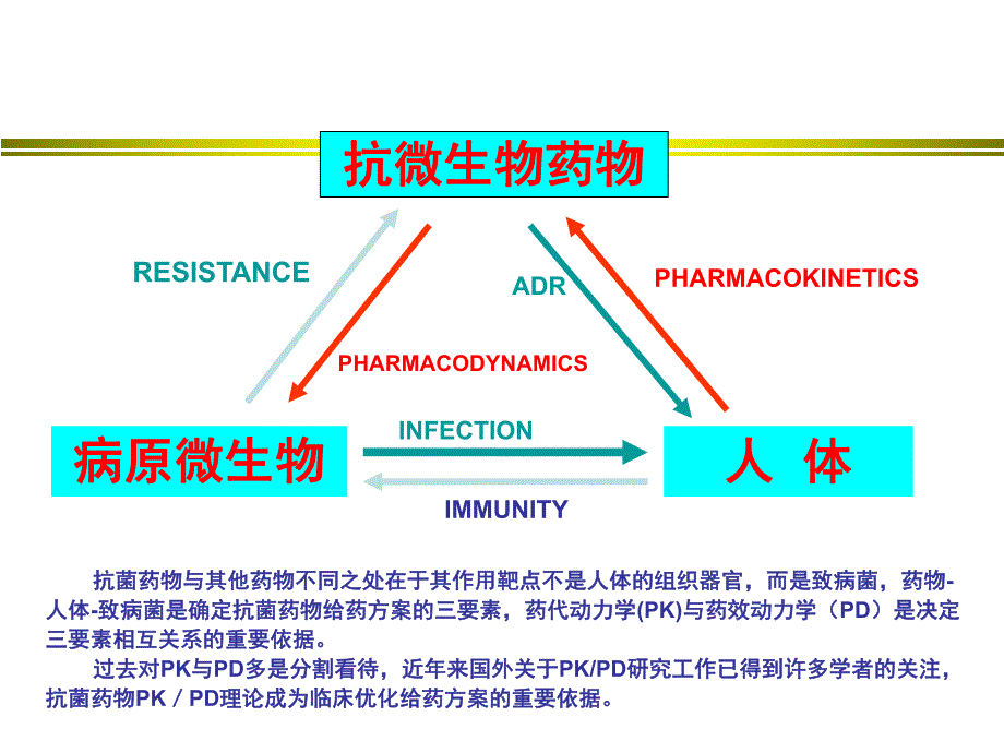 抗真菌药物的PKPD.ppt_第2页