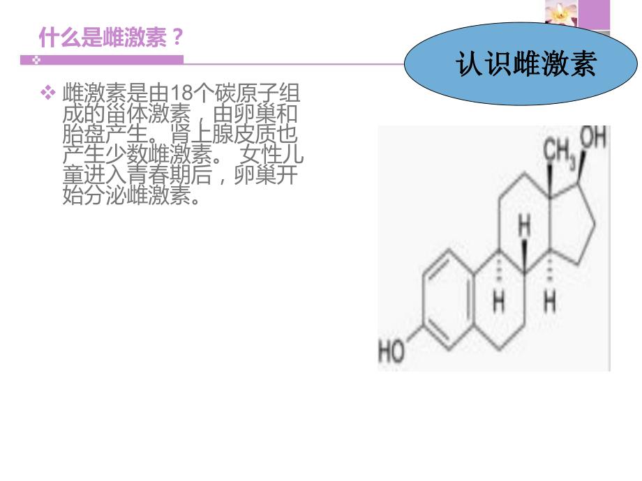 雌激素与女性健康.ppt_第3页