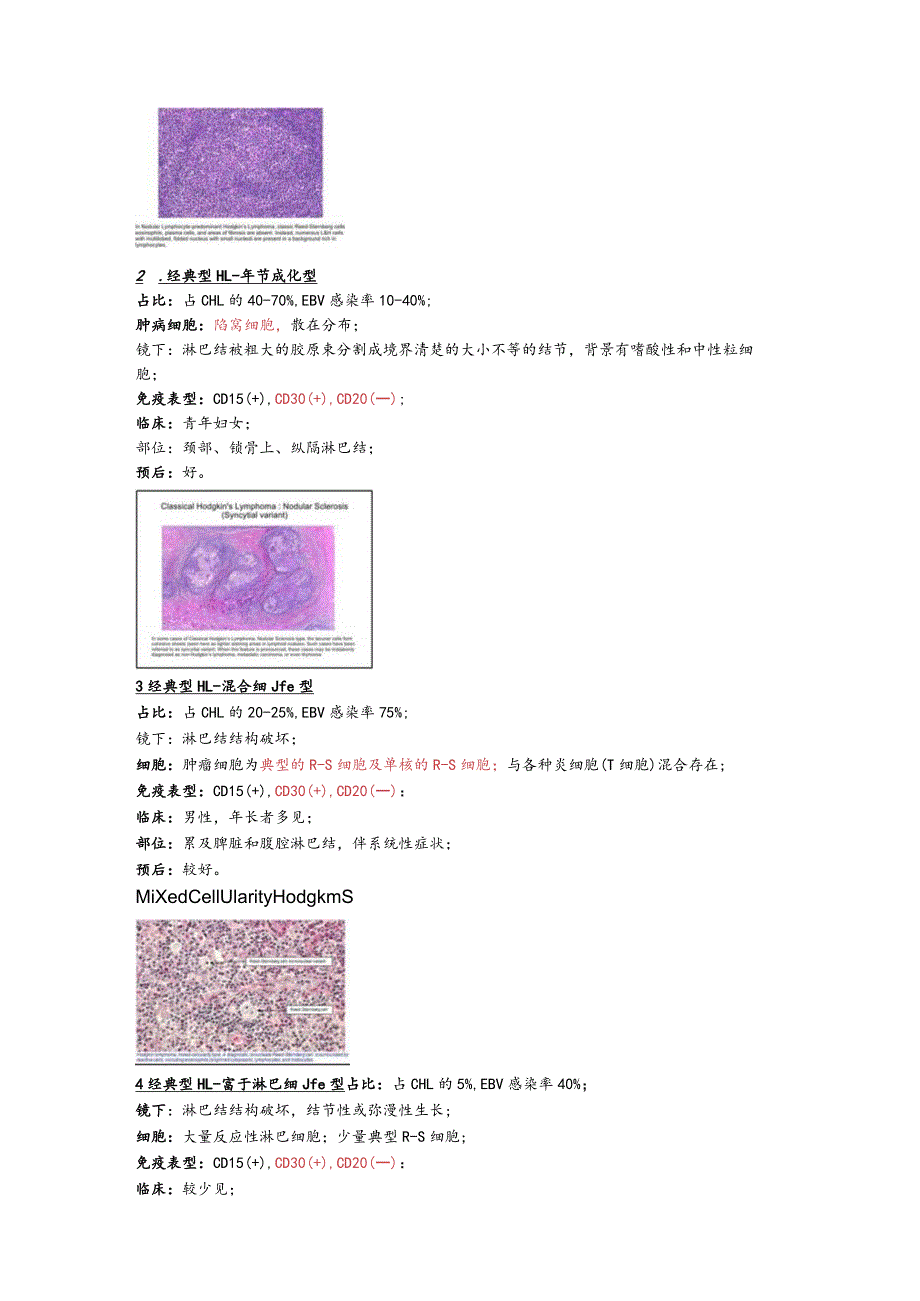 病理学12.淋巴造血系统疾病.docx_第3页