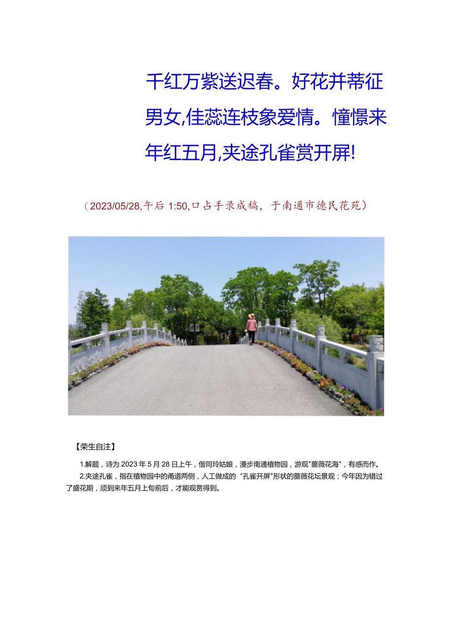 漫步南通植物园同玲姑娘游观“蔷薇花海”.docx_第2页