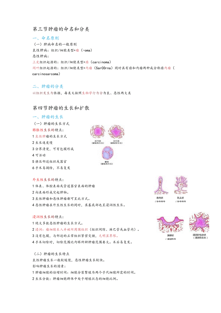 病理学整理6.肿瘤.docx_第3页