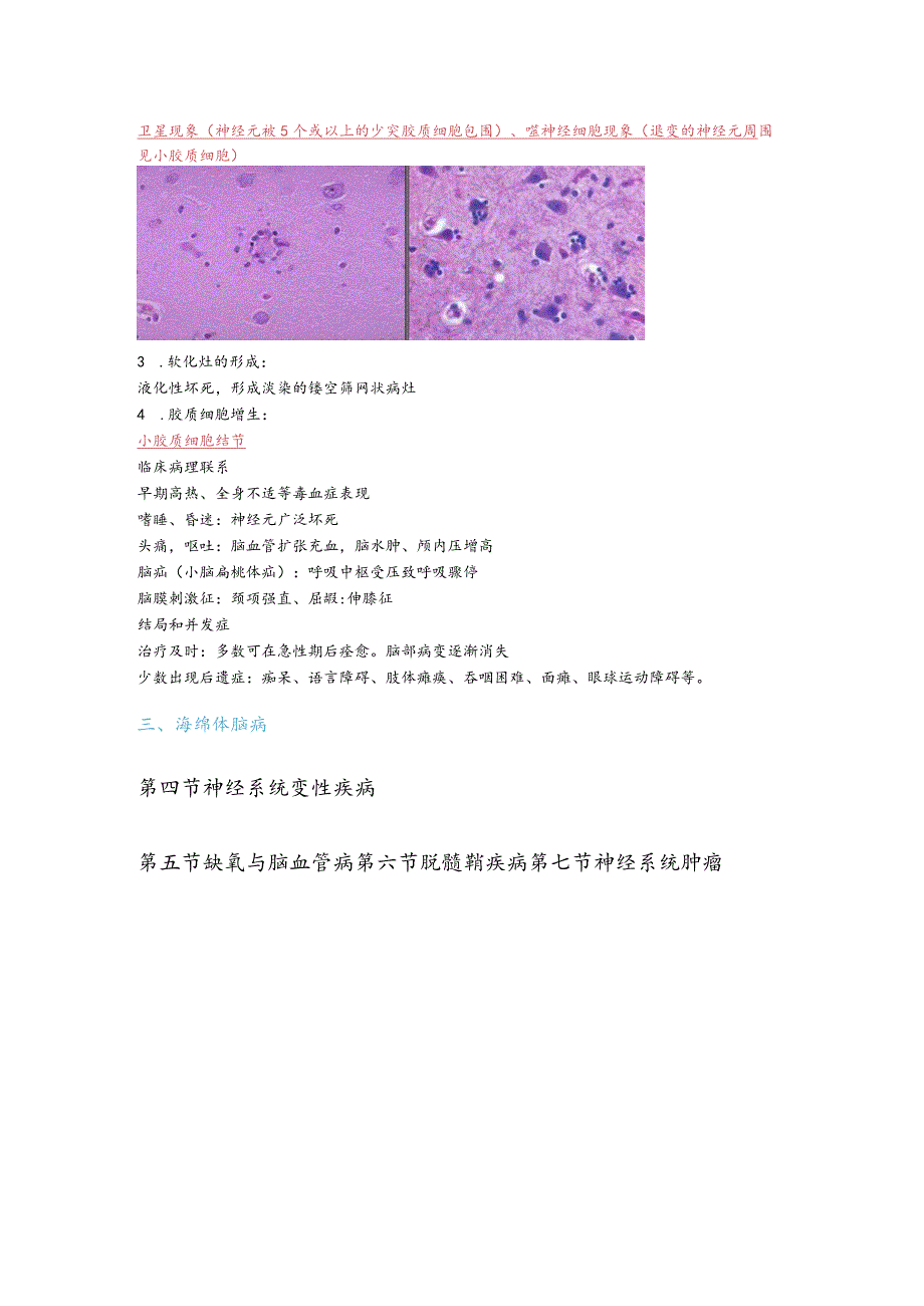 病理学16.神经系统疾病.docx_第3页