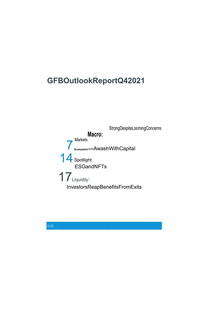 硅谷银行-全球基金银行业展望2021年第4季度报告（英）-20正式版.docx_第2页