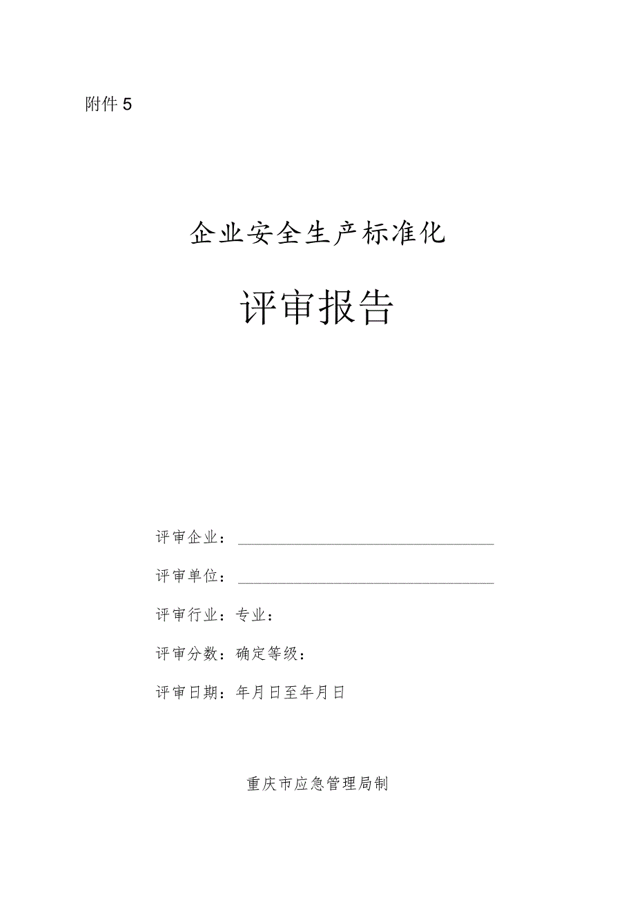 附件5.评审报告.docx_第1页