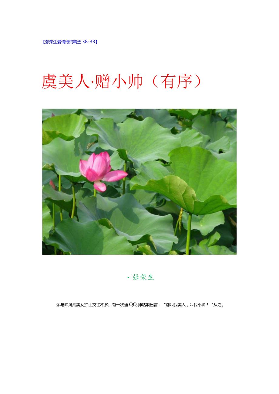 爱情诗词精选38-33. 虞美人-赠小帅.docx_第1页