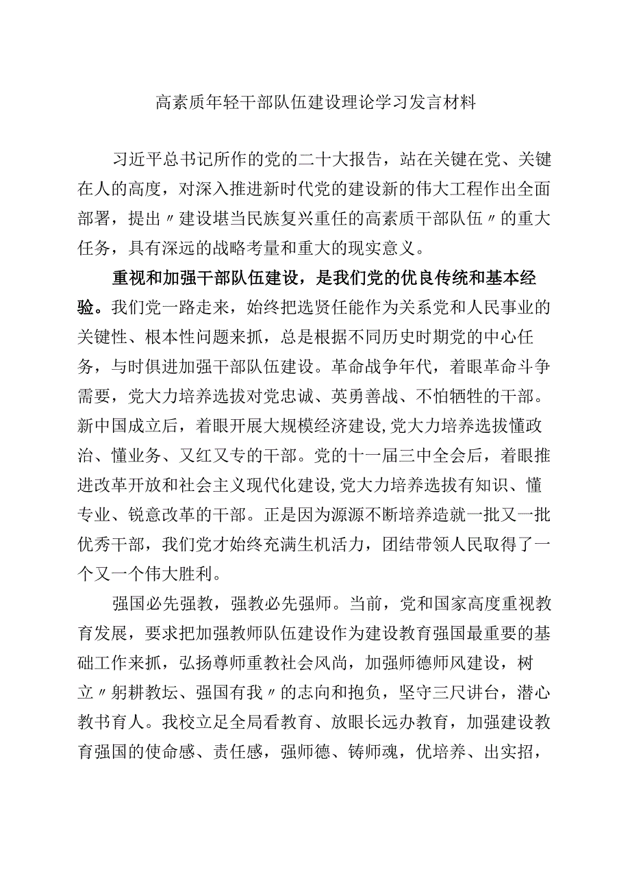 高素质年轻干部队伍建设心得体会.docx_第1页