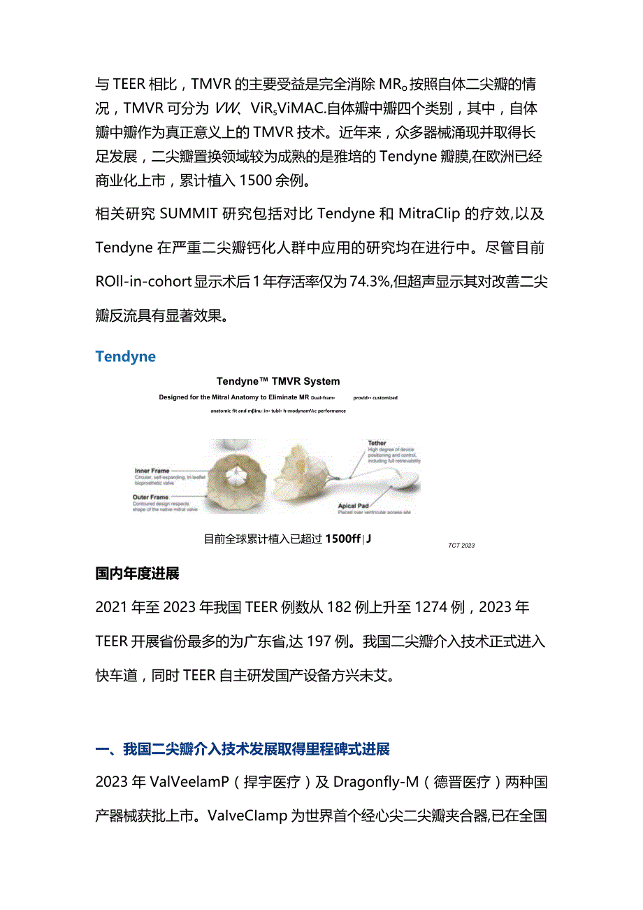 结构性心脏病2023经导管二尖瓣反流介入治疗.docx_第3页