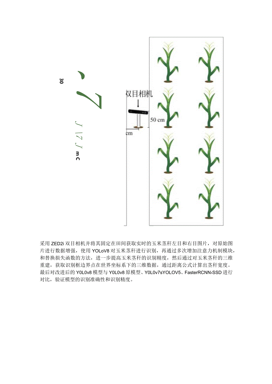 玉米茎秆宽度原位识别方法.docx_第2页