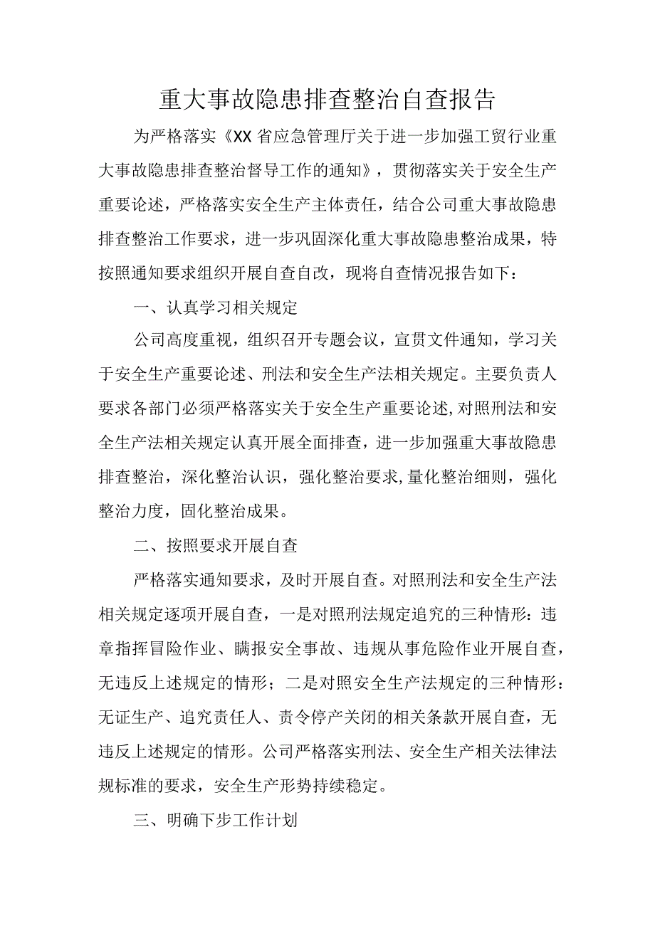 重大事故隐患排查整治自查报告.docx_第1页