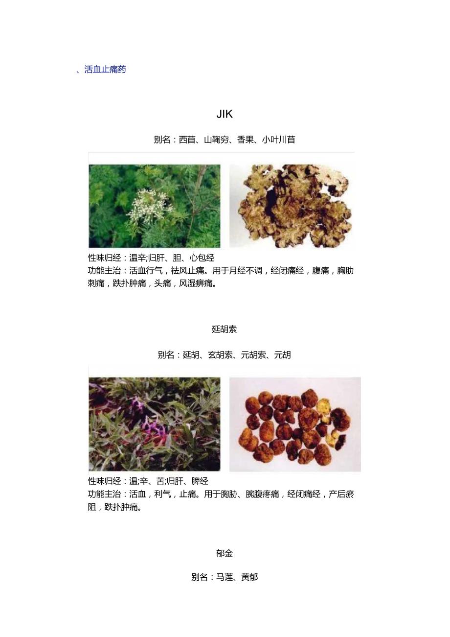 活血止痛药.docx_第1页