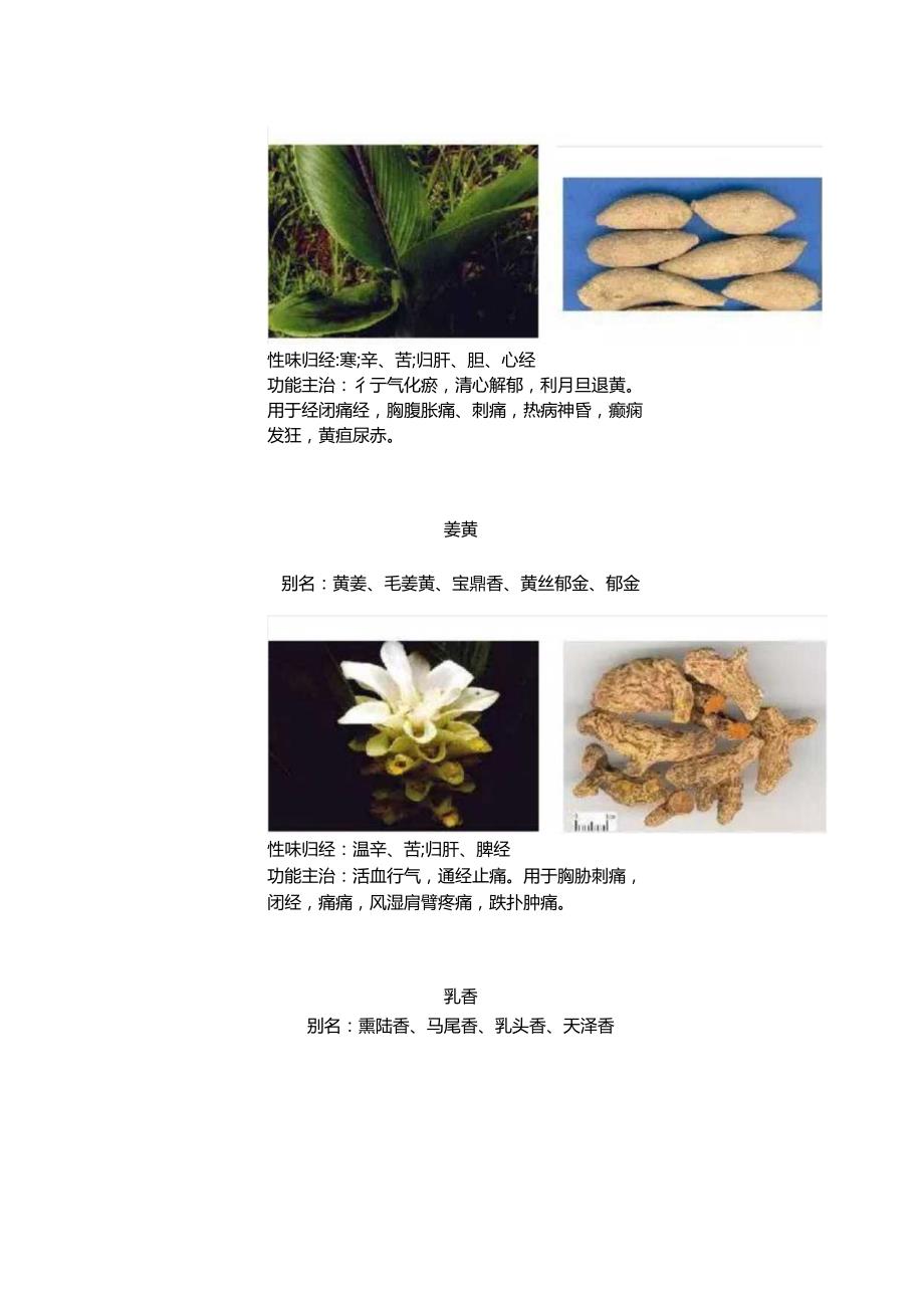 活血止痛药.docx_第3页