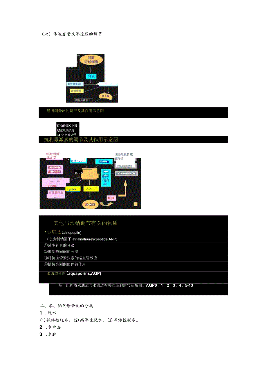 病理生理学整理3.水电解质代谢紊乱.docx_第2页