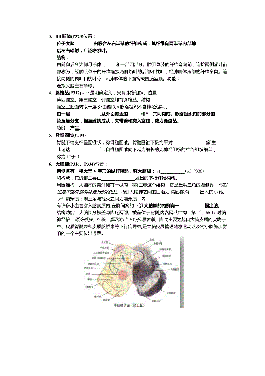 神经解剖学学习资料：神经解剖学期末总复习题27版六稿——填空版完全.docx_第2页