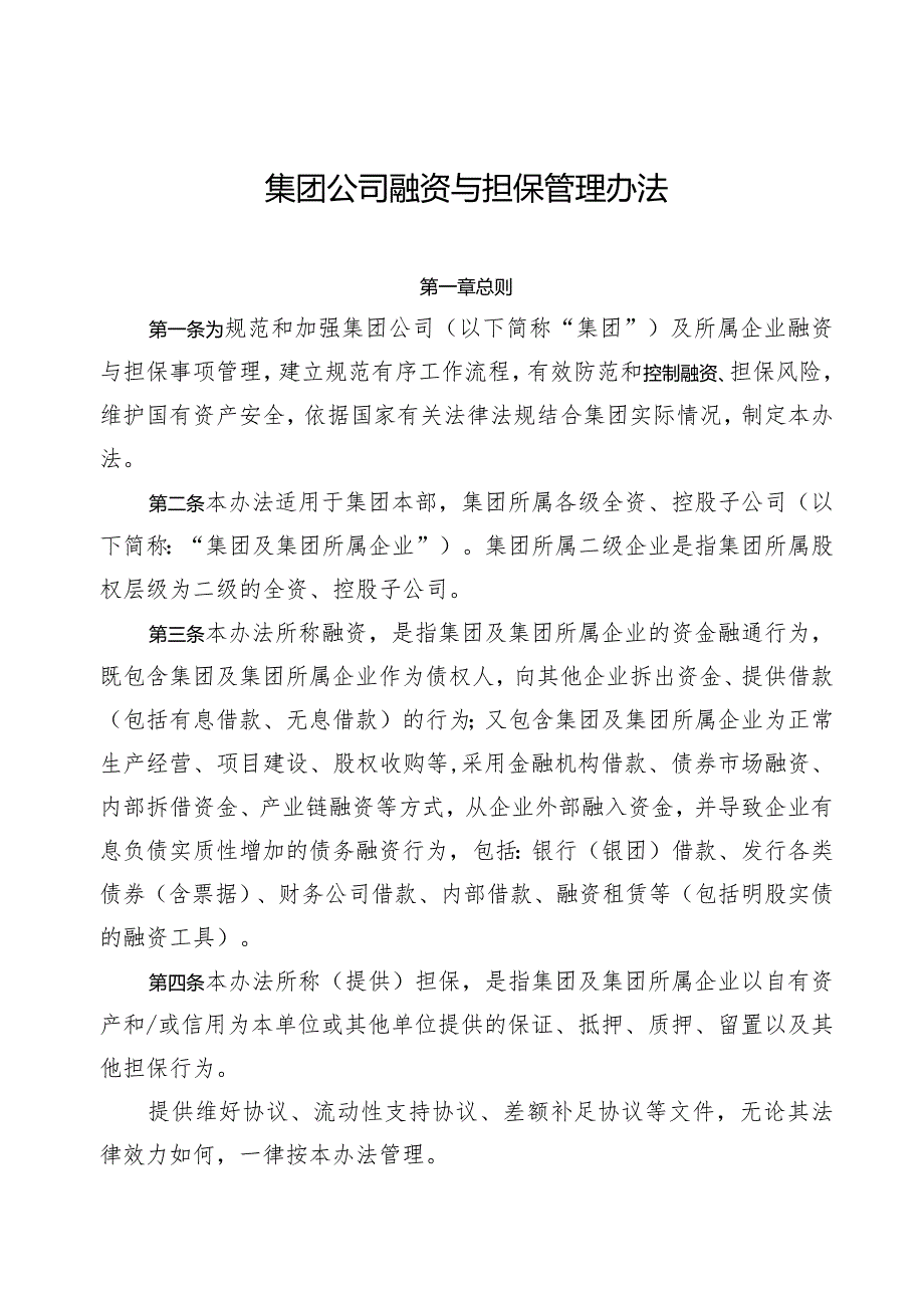 集团公司融资与担保管理办法.docx_第1页