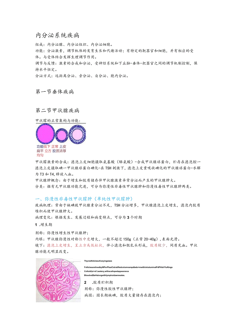 病理学15.内分泌系统疾病.docx_第1页